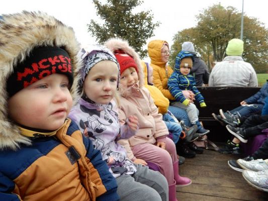 Grafika #55: Przedszkolaki w Stadninie Koni w Nowęcinie