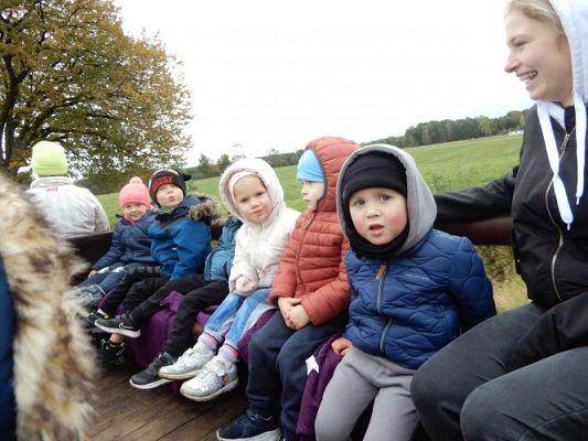 Grafika #56: Przedszkolaki w Stadninie Koni w Nowęcinie