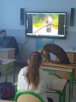 Grafika #0: Lekcja przyrody z Nadleśnictwem Lębork