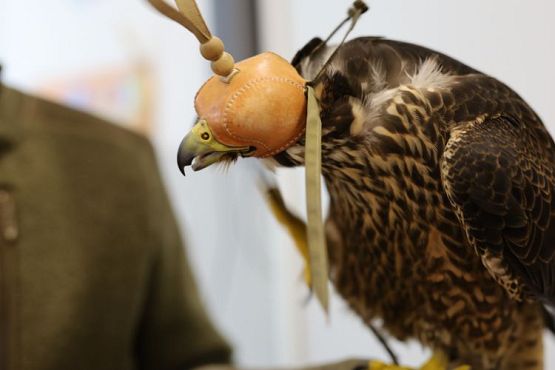 Grafika #2: Spotkanie z sokolnikiem