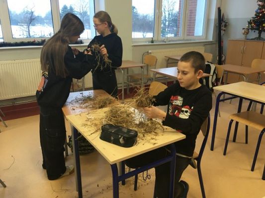 Grafika #2: Lekcje języka kaszubskiego