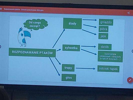 Grafika #2: Zimowe Ptakoliczenie 2024