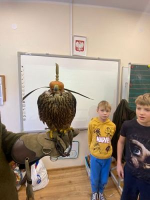 Grafika #3: Spotkanie z sokołem-Polą