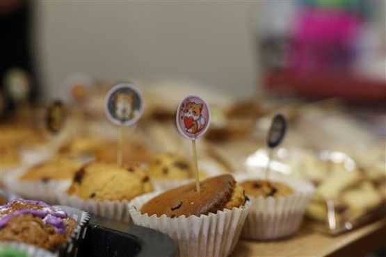 Grafika #1: Nietypowy Dzień Kota