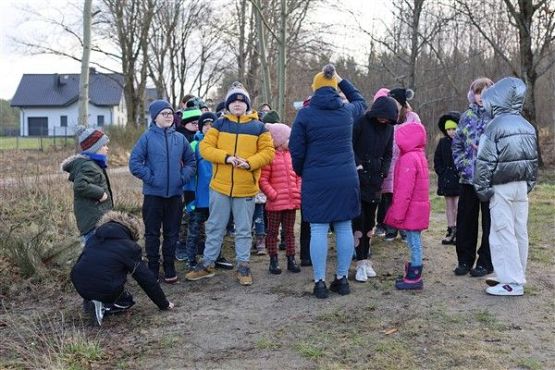 Grafika #1: Ferie w szkole - bezludna wyspa