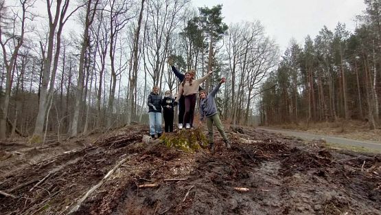 Grafika #1: Sadzenie lasu