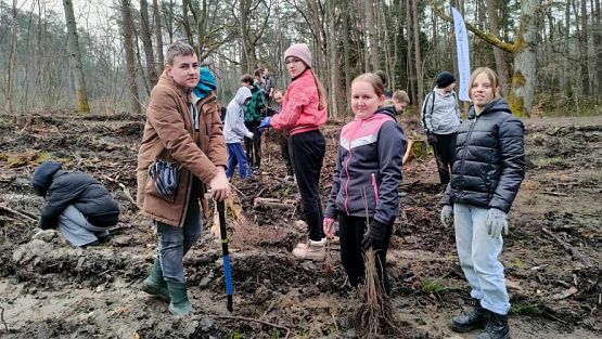 Grafika #3: Sadzenie lasu