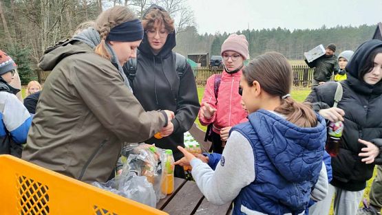 Grafika #9: Sadzenie lasu