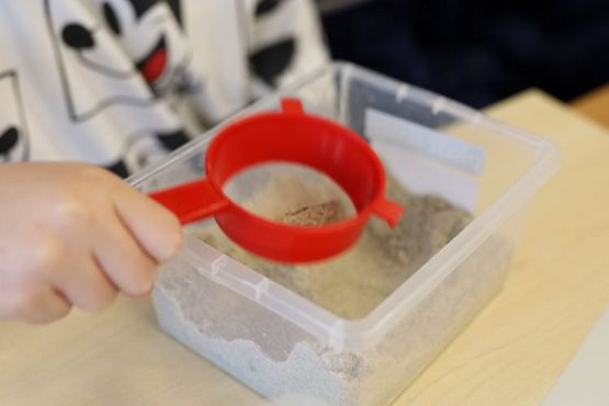 Grafika #3: Warsztaty przyrodnicze