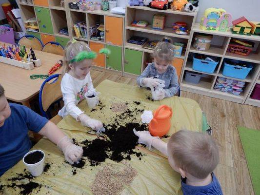 Grafika #4: Zielony ogródek