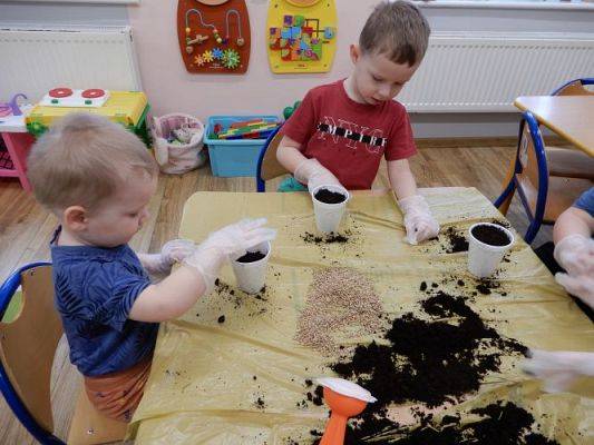 Grafika #5: Zielony ogródek