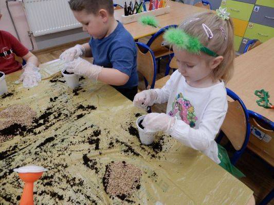 Grafika #7: Zielony ogródek