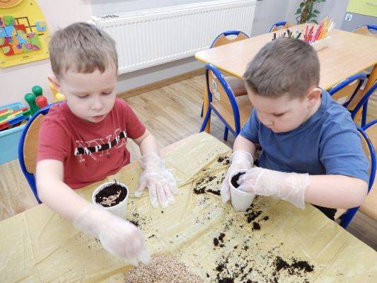 Grafika #9: Zielony ogródek