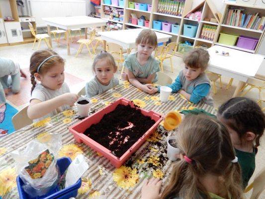 Grafika #13: Zielony ogródek