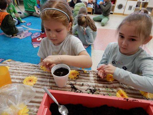 Grafika #18: Zielony ogródek