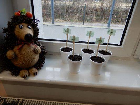 Grafika #19: Zielony ogródek