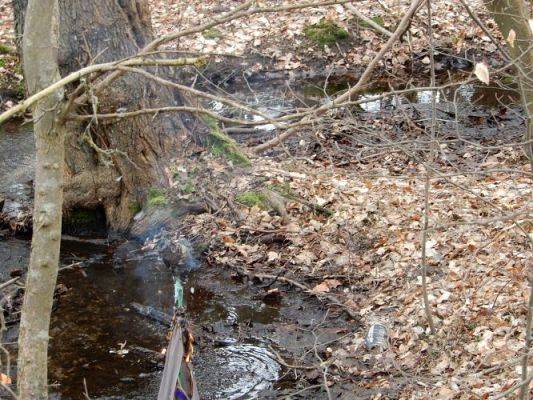 Grafika #10: Witaj wiosno !!!!