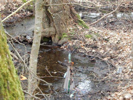 Grafika #11: Witaj wiosno !!!!