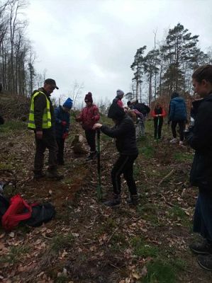 Grafika #2: Akcja sadzenie drzew w Leśnicach dla uczniów klas 4-8