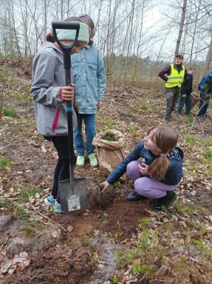 Grafika #3: Akcja sadzenie drzew w Leśnicach dla uczniów klas 4-8