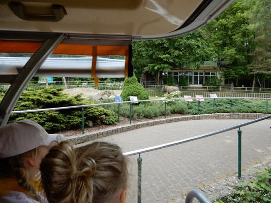 Grafika #7: Wycieczka do zoo