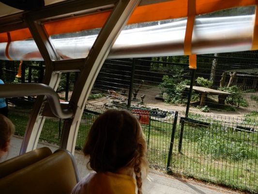 Grafika #11: Wycieczka do zoo